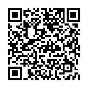 主教练奥斯瓦尔多正在赛后新闻发布会现场炫耀二维码生成