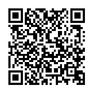 主要一方面是贝拉在油管视频网上上传自己的翻唱二维码生成