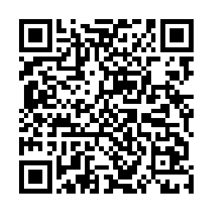 主要原因就是自家男人因为工作没有办法赶回来给她庆生二维码生成