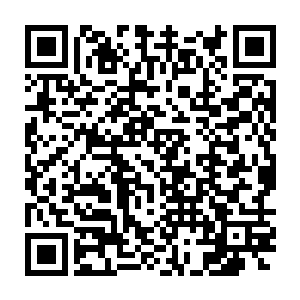 主要怕苗毅不高兴到曹定风那里胡说八道惹得曹定风找他们夫妇算账二维码生成