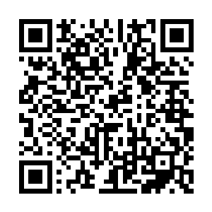 主要是――倾城国际是他现阶段最能下蛋的鸡啊二维码生成