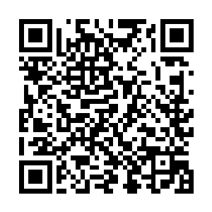 主要是从事联合工业园区和昌南中药材专业市场的货物运输二维码生成