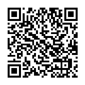 主要是他上次在鸾凤寝宫里布置的法阵被鸾凤给毁了二维码生成