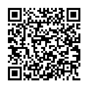 主要是做给已经转身离去的夏云杰和金雨薇看的二维码生成