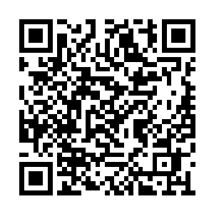 主要是前世的仙界的天兵天将虽然说偶尔有征战二维码生成