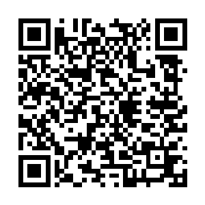 主要是因为他们觉得不会有什么人敢对他们动手的二维码生成