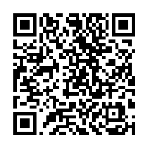 主要是因为李锐现在的修为使用培元丹却是正合适的二维码生成
