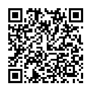 主要是因为苏泉对于其中的状况有着相当的理解二维码生成