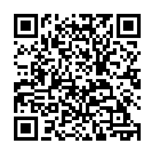 主要是怕女儿苏小小和准女婿秦方会吃亏……这么多人二维码生成