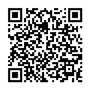 主要是想学习江州在农业和工业经济管理方面的先进经验二维码生成