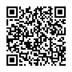 主要是被王婉柔一直所说的什么鬼差之间互相不认识给搞混了二维码生成