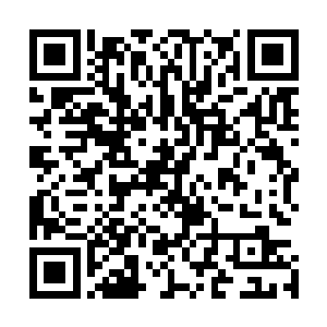 主要的互动问题基本都是针对导演孙志远和两位影帝男主的二维码生成