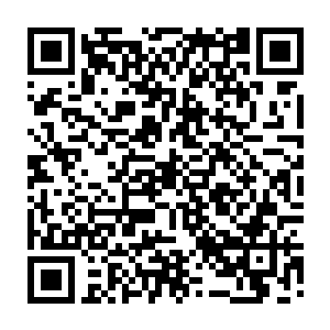 主要目光都集中在自己面前的小监视器上――这件事器接通了现场直播的信号二维码生成