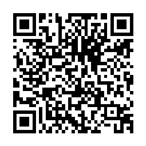 主要还是他们一个月下来的直播时间都是你的好几倍甚至十几倍二维码生成
