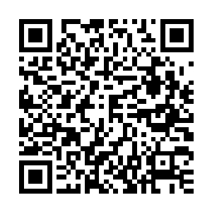 主要还是甄婕不太愿意和陆为民家人乃至195厂熟悉情况的人接触二维码生成