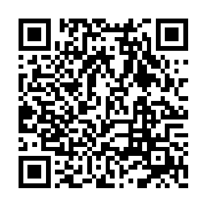 主角的候选人玛丽一伊莉莎白一马斯特兰托尼奥二维码生成