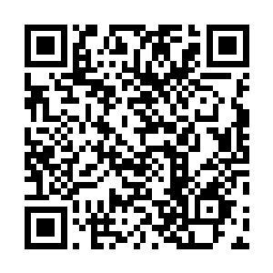 主训教官的意思竟是直接讲将裁决权直接交给奥利维亚了二维码生成