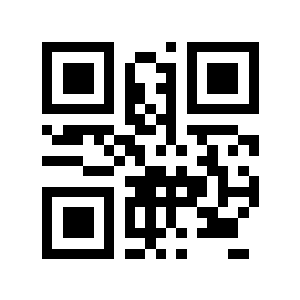 丽兹二维码生成