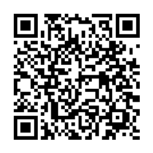 丽蓉是不知道这个人类到底修炼了什么样特殊的功法二维码生成