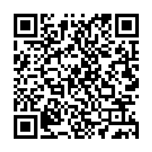 举手投足之间都有这寢陵当中遗留下来的大卫朝的气运呼应二维码生成