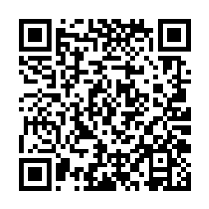 举霞后期境界就算在整个黑水界域都算得上一方强者二维码生成