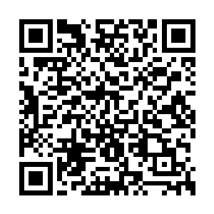 乃是一尊天将中等级别的强者和十多尊九劫真神二维码生成