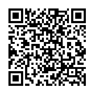 乃是人类在这个时代可以制造的最大规模战争机器二维码生成