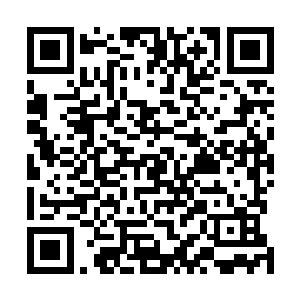 乃是从那个被斩杀的天源商盟长老身上的储物袋里得来的二维码生成