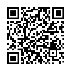 乃是他们为沈凡的那位妖君奴仆准备的二维码生成