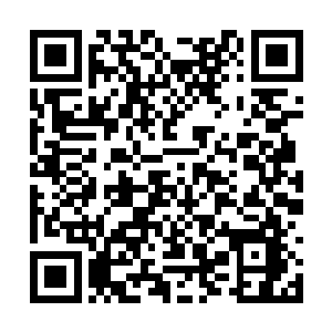 乃是传承自开创出鸿蒙三界的盘古老祖留下的秘法二维码生成