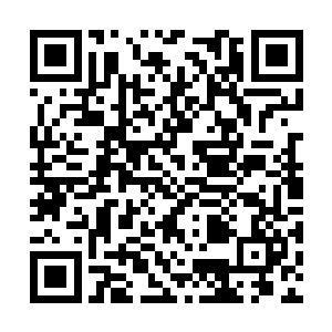 乃是传说中万界众圣拼了老命也在寻找的太初之石二维码生成