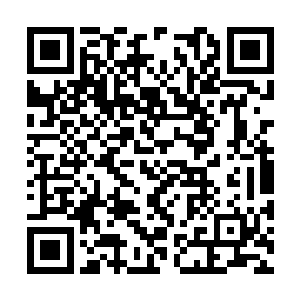 乃是修筑在了一座废墟上此时却是几乎可以肯定的二维码生成