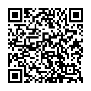 乃是刘立壬在他荣任千竹教大长老之后交给他的二维码生成