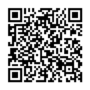 乃是千年前末世战争里死去的那些神界高手与九重上天强者的二维码生成