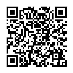 乃是四大宗派和猎海联盟为了猎海大战对付海族和海兽二维码生成