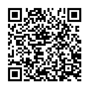 乃是圣界为数不多的用来恢复元神之力的丹药之一二维码生成