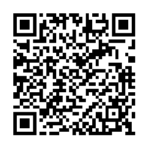 乃是在监视着一个人在这龙居宫当中的活动踪迹二维码生成