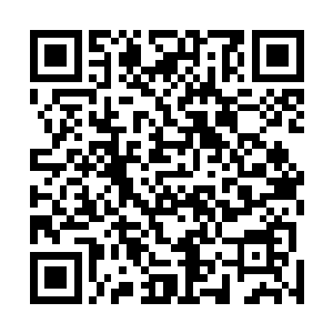乃是当年吹牛道人亲手炼制的最得意的两大先天灵宝之一二维码生成