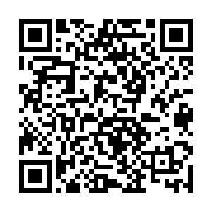 乃是我们伏氏历代大能开辟的一条通往药尊界的通道二维码生成