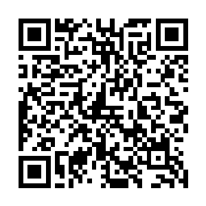 乃是拍卖会上出现过的少数能够引起杨戬注意的好东西之一二维码生成