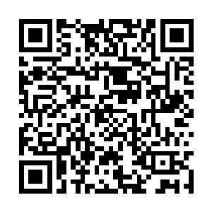 乃是本宗炼制的能够帮助恢复元神消耗的极品丹药二维码生成