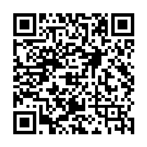 乃是给鬼魂准备的绝品鬼果……至于这个传说是否属实二维码生成