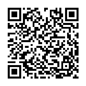 乃是这一届帝联商会百年一次的拍卖盛会的主持人二维码生成