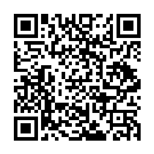 乃是金某从本族之中向老祖求得的两道先天封印灵宝符二维码生成