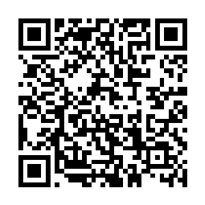 乃是阿弥陀佛以最后一点真灵和灵魂力量所凝聚出来二维码生成