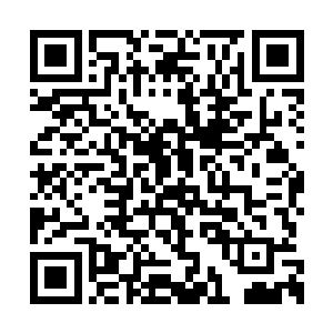 乃至于他们的辅助娜美也几乎没有空过一个技能二维码生成