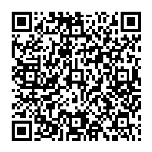 乃至于倾听更多普通人的故事……尤其喜欢那些野人转化不过几代的新生代国人生活二维码生成