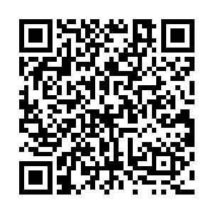 乃至全国要说明清两代资料文物收集的最全的就是全老头了二维码生成
