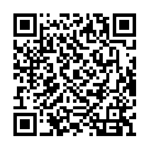 乃至全天下在仙蛊屋这一块最为擅长的超级势力二维码生成