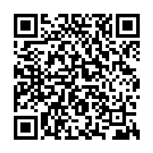 乃至推算出对整个天域都有觊觎的神秘组织存在二维码生成